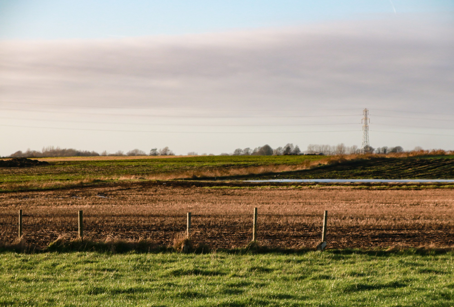 Paisaje agrícola con campos de cultivo en distintas etapas y una torre eléctrica al fondo